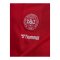 hummel DBU Trikot Home 2026 Kids Rot F3365 - rot