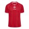 hummel DBU Trikot Home 2026 Rot F3365 - rot
