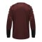 Hummel Essential Torwarttrikot Lila F3055 - lila