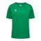 Hummel Trikot Grün F6235 - gruen