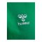 Hummel GO 2.0 Hoody Grün F6235 - gruen