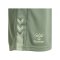 Hummel hmlACTIVE Short Damen Grün F6005 - gruen