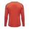 Hummel hmlAUTHENTIC Poly Trikot langarm Rot F3487 - rot
