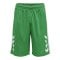 Hummel hmlCORE XK Basket Short Grün F6235 - gruen