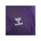 Hummel hmlCORE XK HalfZip Sweatshirt Lila F3332 - lila