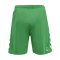 Hummel hmlCORE XK Poly Short Grün F6235 - gruen