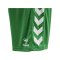 Hummel hmlCORE XK Poly Short Grün F6235 - gruen