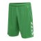 Hummel hmlCORE XK Poly Short Grün F6235 - gruen