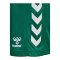 Hummel hmlCORE XK Poly Short Kids Grün F6140 - gruen
