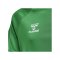 Hummel hmlCORE XK Poly T-Shirt Kids Grün F6235 - gruen
