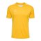 Hummel hmlCORE XK Poly Trikot Gelb F5001 - gelb