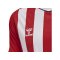 Hummel hmlCORE XK Striped Trikot Rot Weiss F3946 - rot