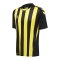 Hummel hmlCore XK Striped Trikot Schwarz F5138 - schwarz