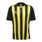 Hummel hmlCore XK Striped Trikot Schwarz F5138 - schwarz