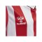 Hummel hmlCORE XK Stripped Trikot Kids F3946 - rot