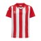 Hummel hmlCORE XK Stripped Trikot Kids F3946 - rot