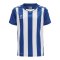 Hummel hmlCORE XK Stripped Trikot Kids F7691 - blau