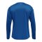 Hummel hmlCORE XK Trikot langarm Blau F7045 - blau