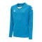 Hummel hmlCORE XK Trikot langarm Kids Blau F8729 - blau