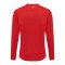 Hummel hmlCORE XK Trikot langarm Kids Rot F3062 - rot