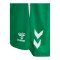 Hummel hmlLEAD 2.0 Short Damen Grün F6235 - gruen