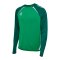 Hummel hmlLEAD 2.0 Sweatshirt Grün F6327 - gruen