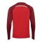 Hummel hmlLEAD 2.0 Sweatshirt Rot F3713 - rot