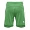 Hummel hmlLEAD Poly Short Rot F6235 - gruen