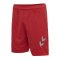 Hummel hmlLEAD Poly Short Rot F3062 - rot