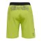 Hummel hmlLEAD Pro Short Grün F6242 - gruen