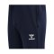 Hummel hmlLEAD Trainingshose Blau F7026 - blau