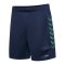 Hummel hmlSTALTIC Poly Short Blau F7209 - blau