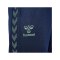Hummel hmlSTALTIC Trainingshose Blau F7209 - blau