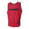 Hummel Kennzeichnungshemd Bib Training F3062 - rot