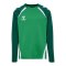Hummel Lead 2.0 Crew Sweatshirt Kids Grün F6327 - gruen