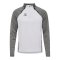 Hummel Sweatshirt Weiß F9396 - weiss