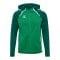 Hummel Kapuzenjacke Grün F6327 - gruen