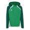 Hummel Lead 2.0 Kapuzenjacke Kids Grün F6327 - gruen