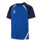Hummel Trikot Kids Blau F8607 - blau