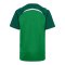 Hummel Trikot Kids Grün F6327 - gruen