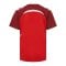 Hummel Lead 2.0 Trikot Kids Rot F3713 - rot