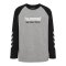 Hummel Logo L/S T-Shirt Kids Grau F2006 - grau