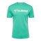 Hummel Trikot Grün F6507 - gruen