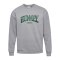 Hummel Loose University Bee Sweatshirt Grau F2006 - grau