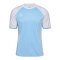 Hummel Match League Trikot Blau F7473 - blau