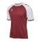 Hummel Match League Trikot Rot F3035 - rot