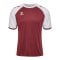 Hummel Match League Trikot Rot F3035 - rot