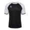 Hummel Match League Trikot Schwarz F2114 - schwarz