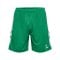 Hummel Match Short Grün F6129 - gruen