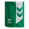 hummel Match Short Kids Grün F6129 - gruen